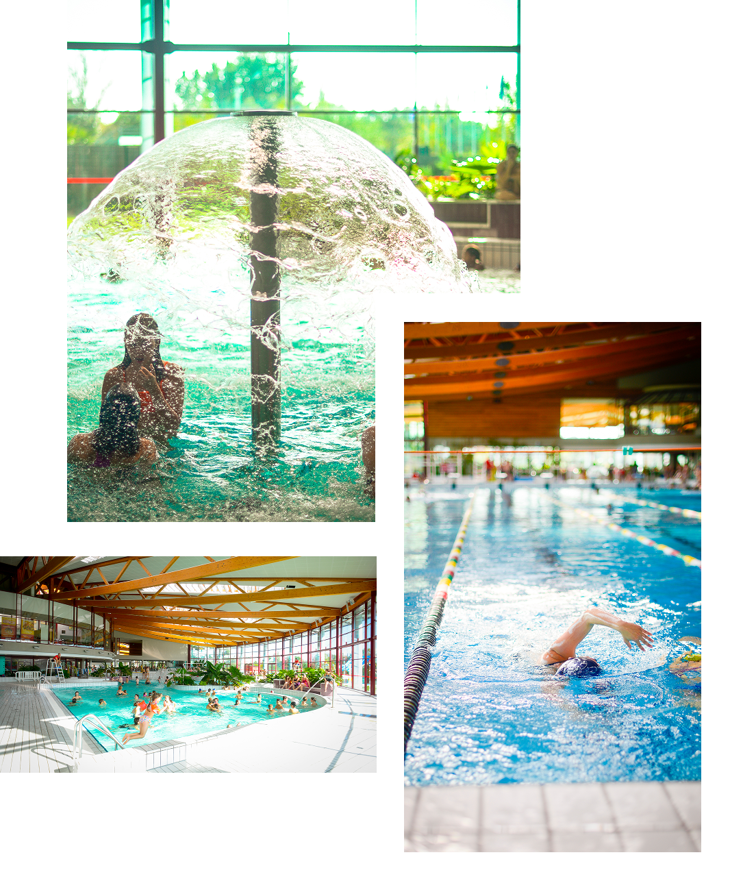 Pr&eacute;sentation Nautilis Bassin